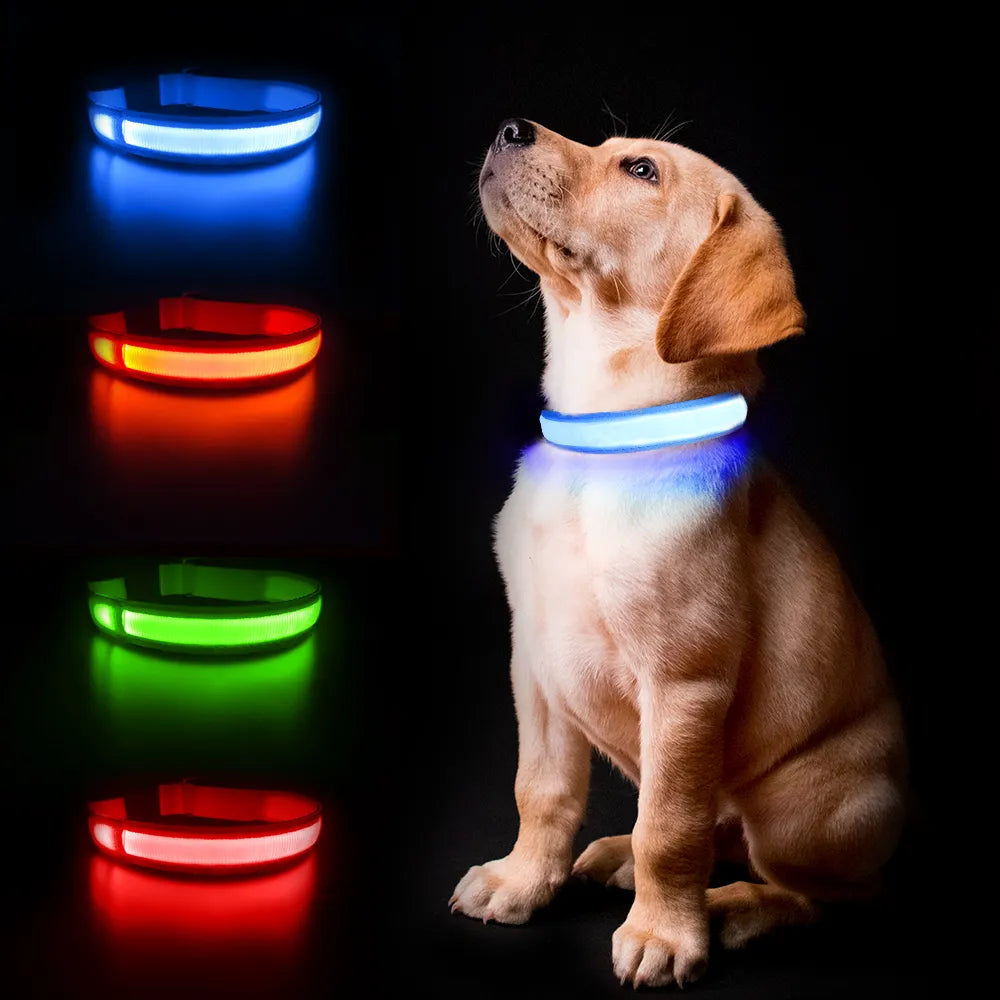 Waterpoof Luminous Dog Collar