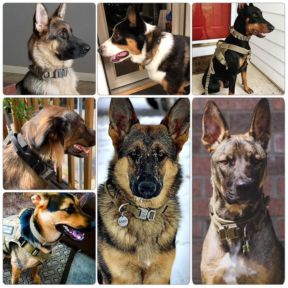 Dog Training Collar Adjustable Tactical