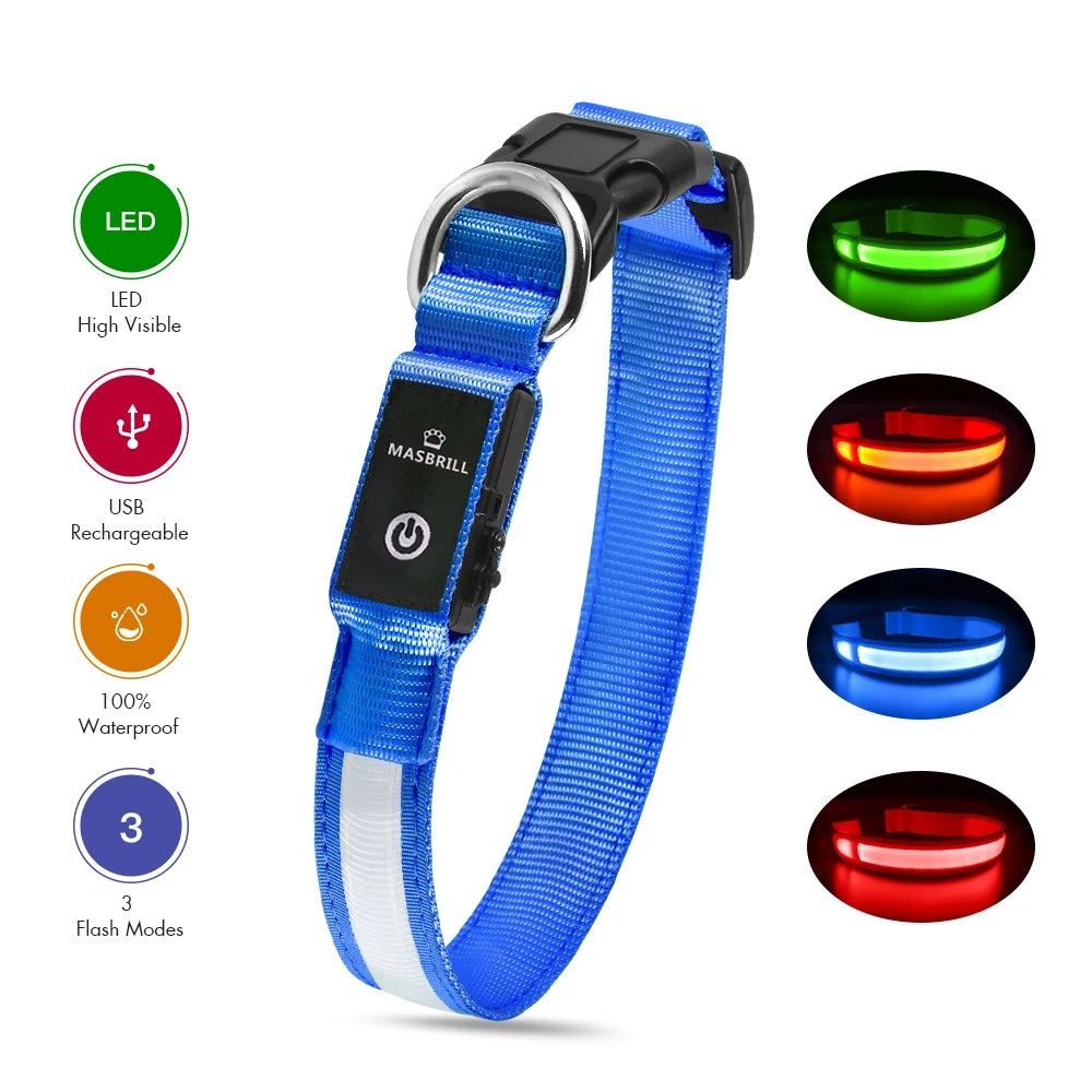 Waterpoof Luminous Dog Collar