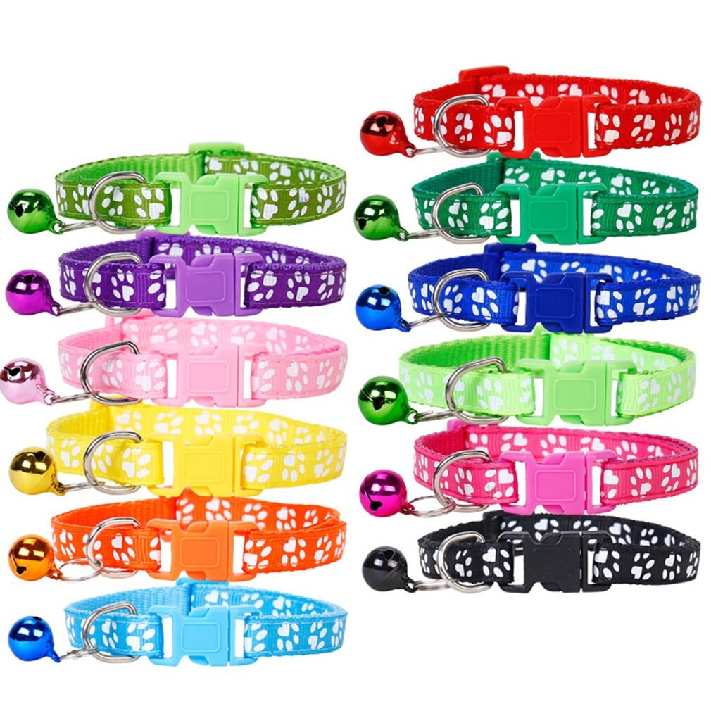 6/10 Pack Colorful Pet Supplies