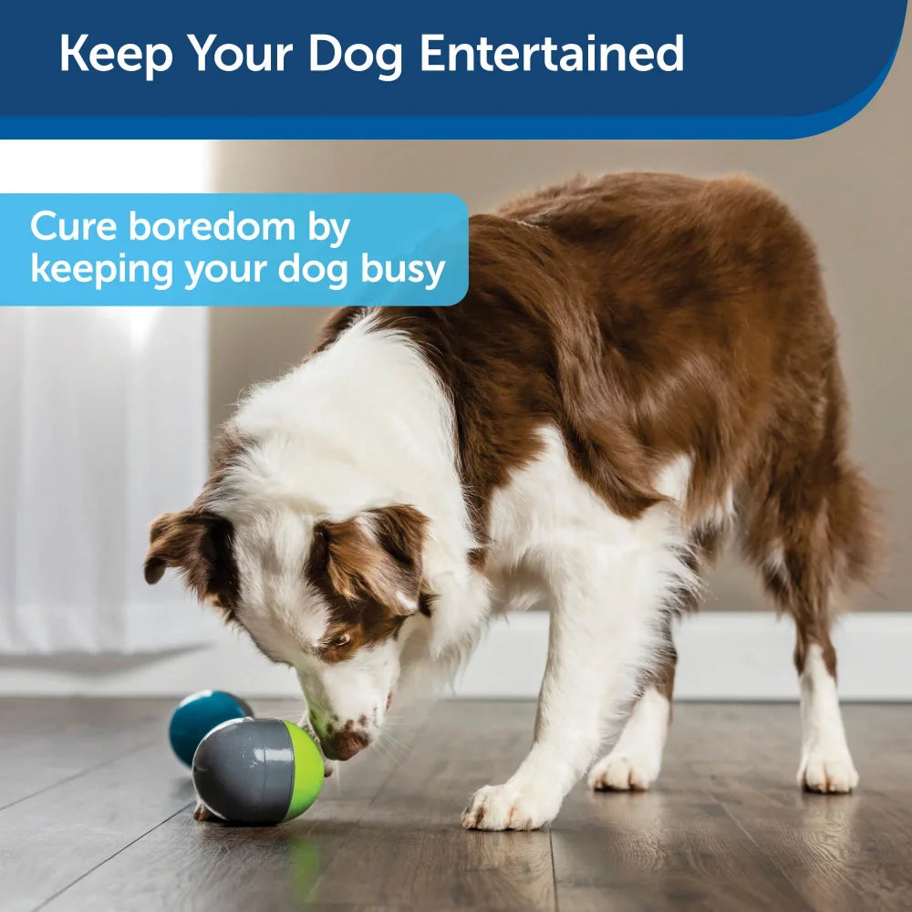 Interactive Ball Dog Toy