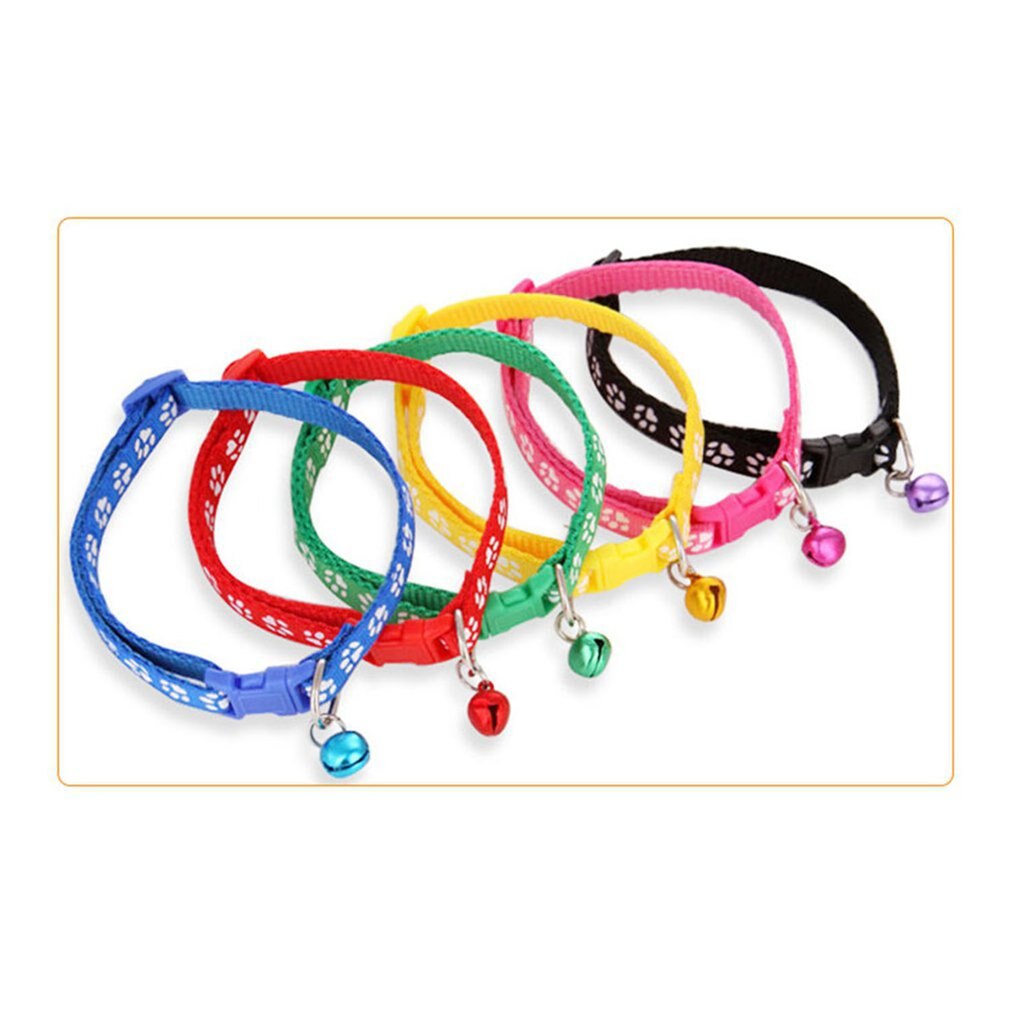 6/10 Pack Colorful Pet Supplies