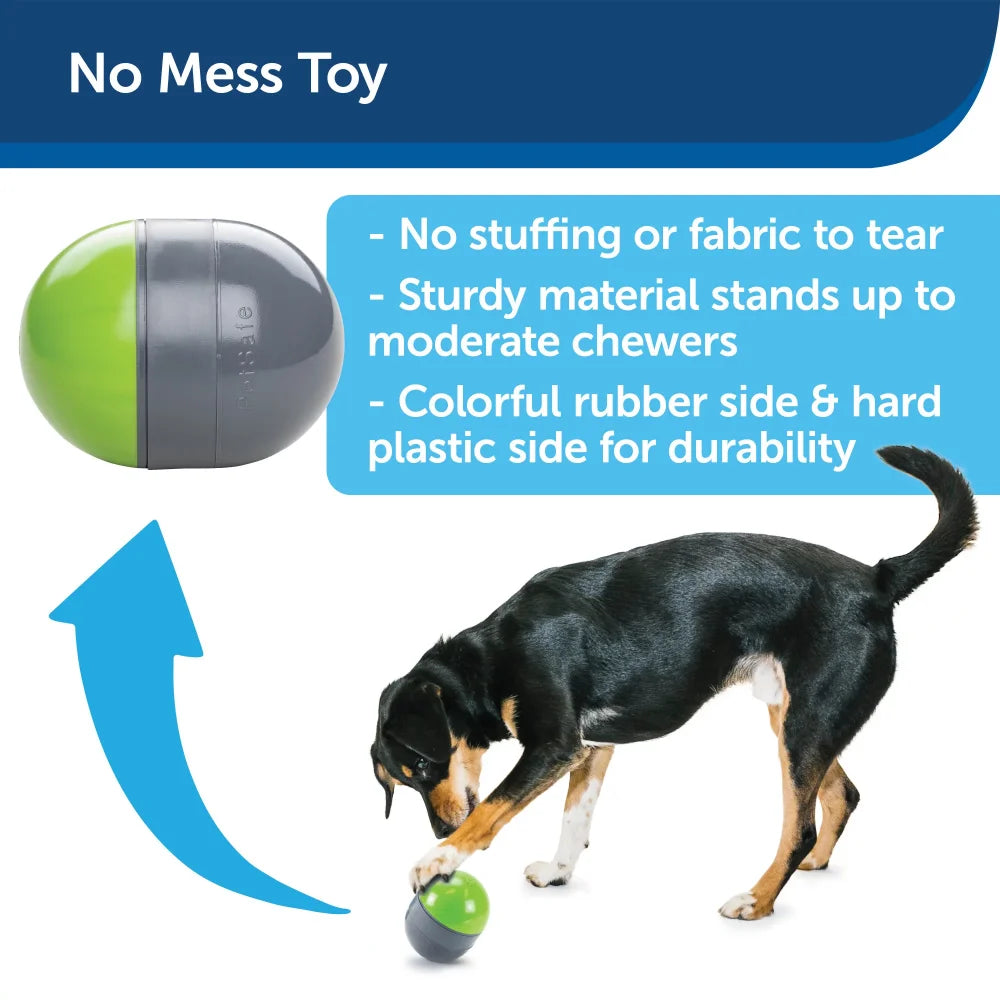 Interactive Ball Dog Toy