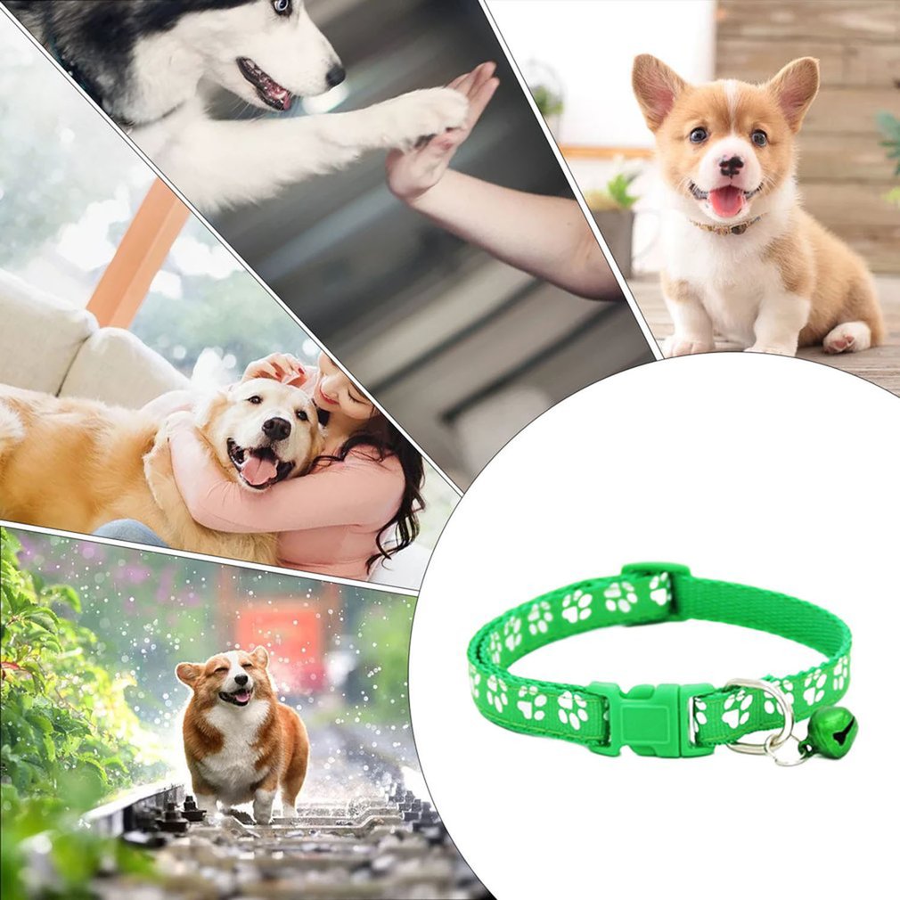 6/10 Pack Colorful Pet Supplies