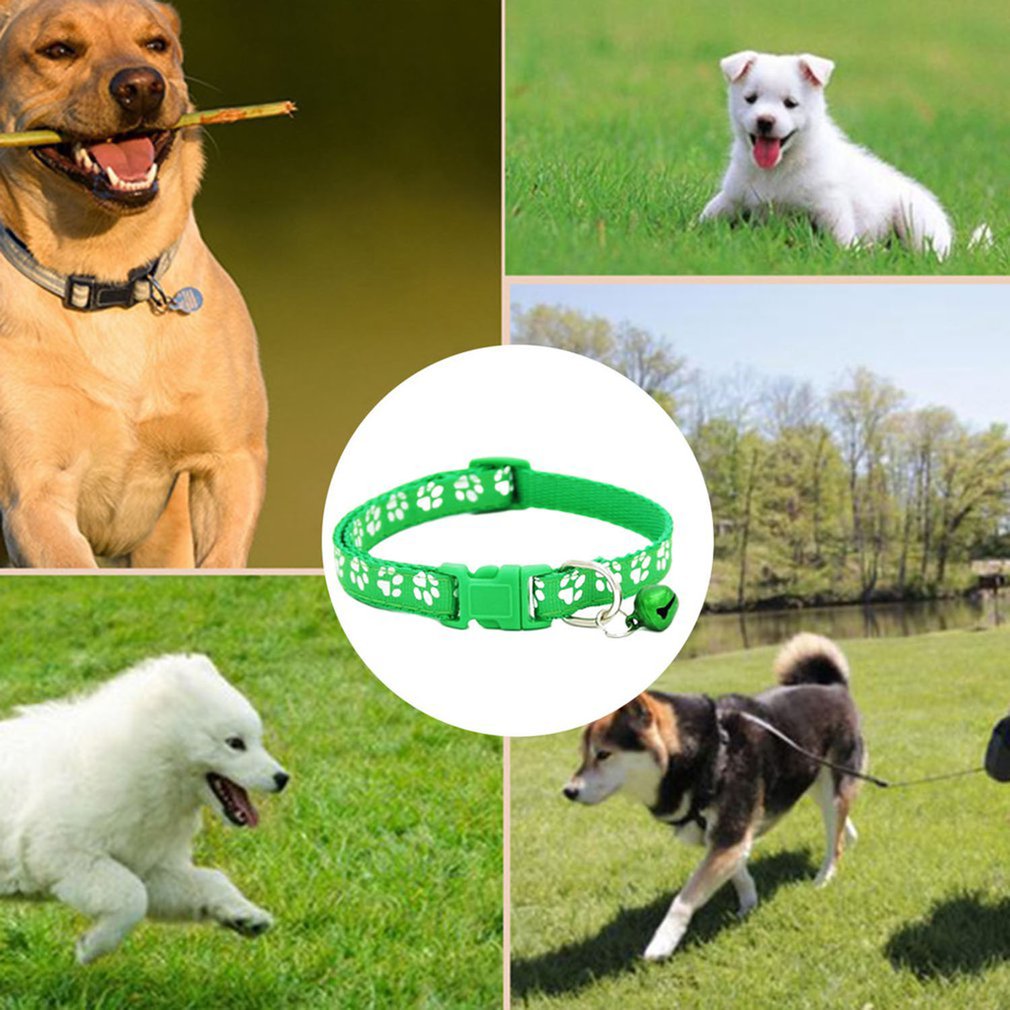 6/10 Pack Colorful Pet Supplies