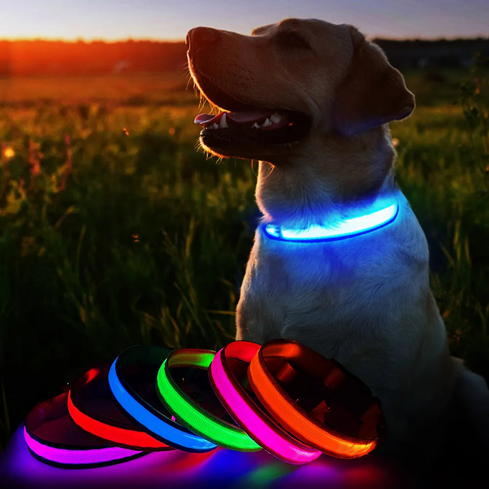 Waterpoof Luminous Dog Collar