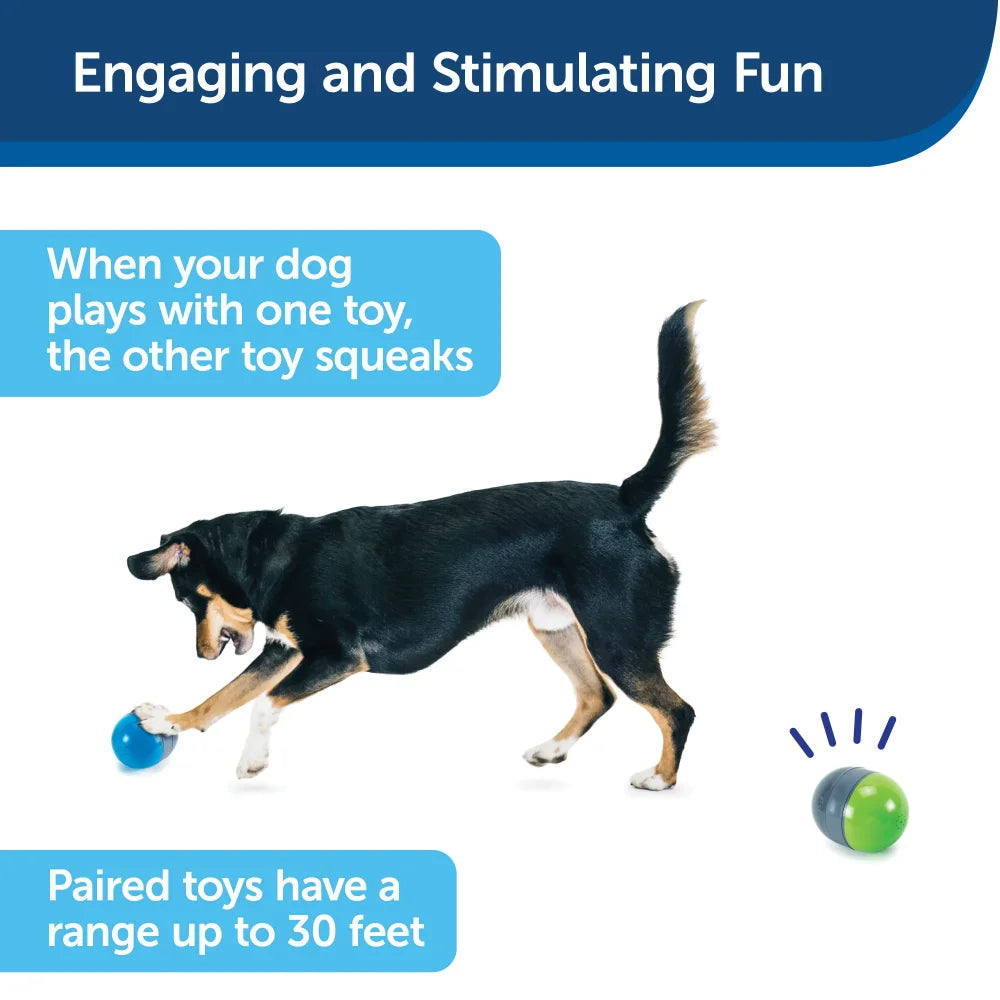 Interactive Ball Dog Toy
