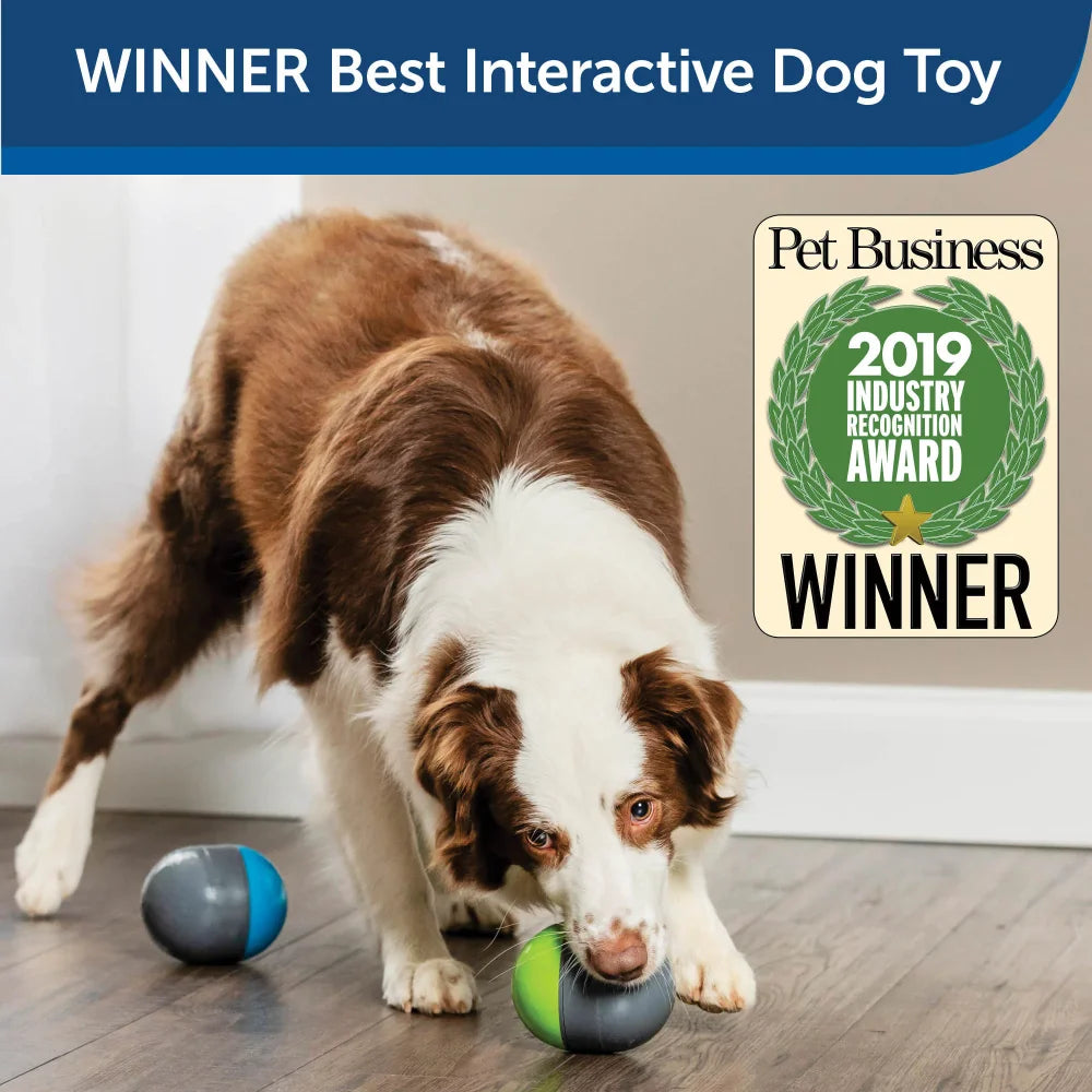 Interactive Ball Dog Toy