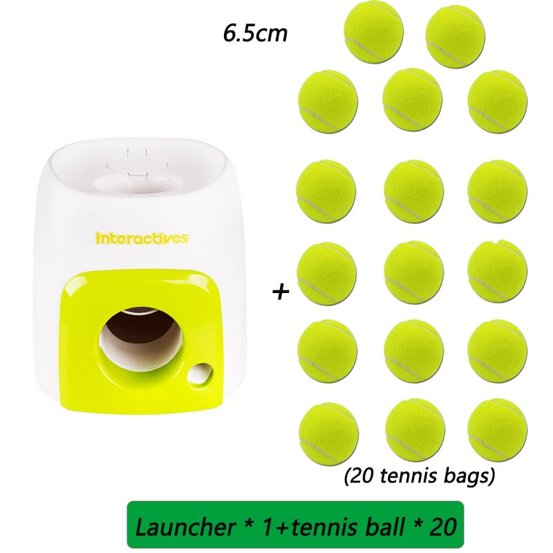 Automatic Throwing Machine