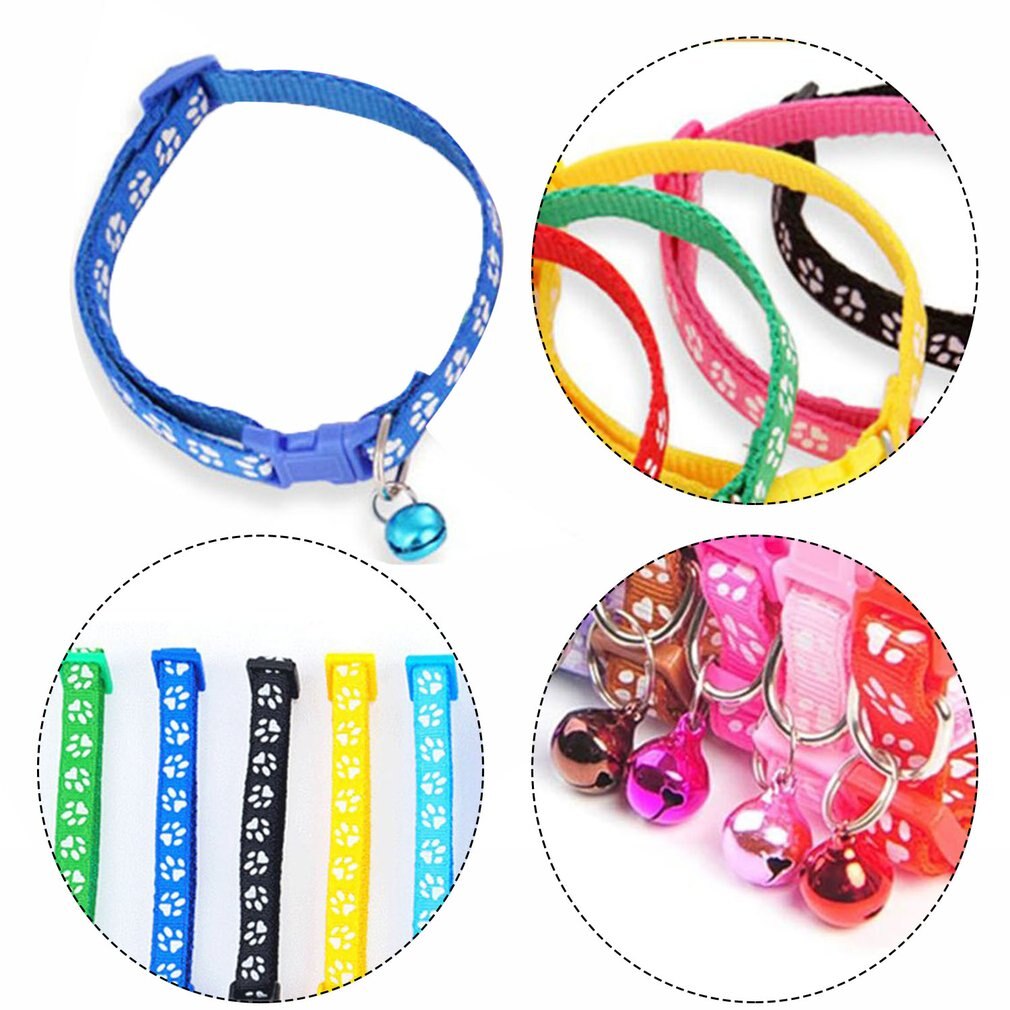 6/10 Pack Colorful Pet Supplies