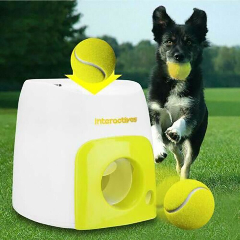 Automatic Throwing Machine