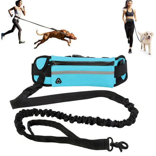 Hands Free Dog Leash